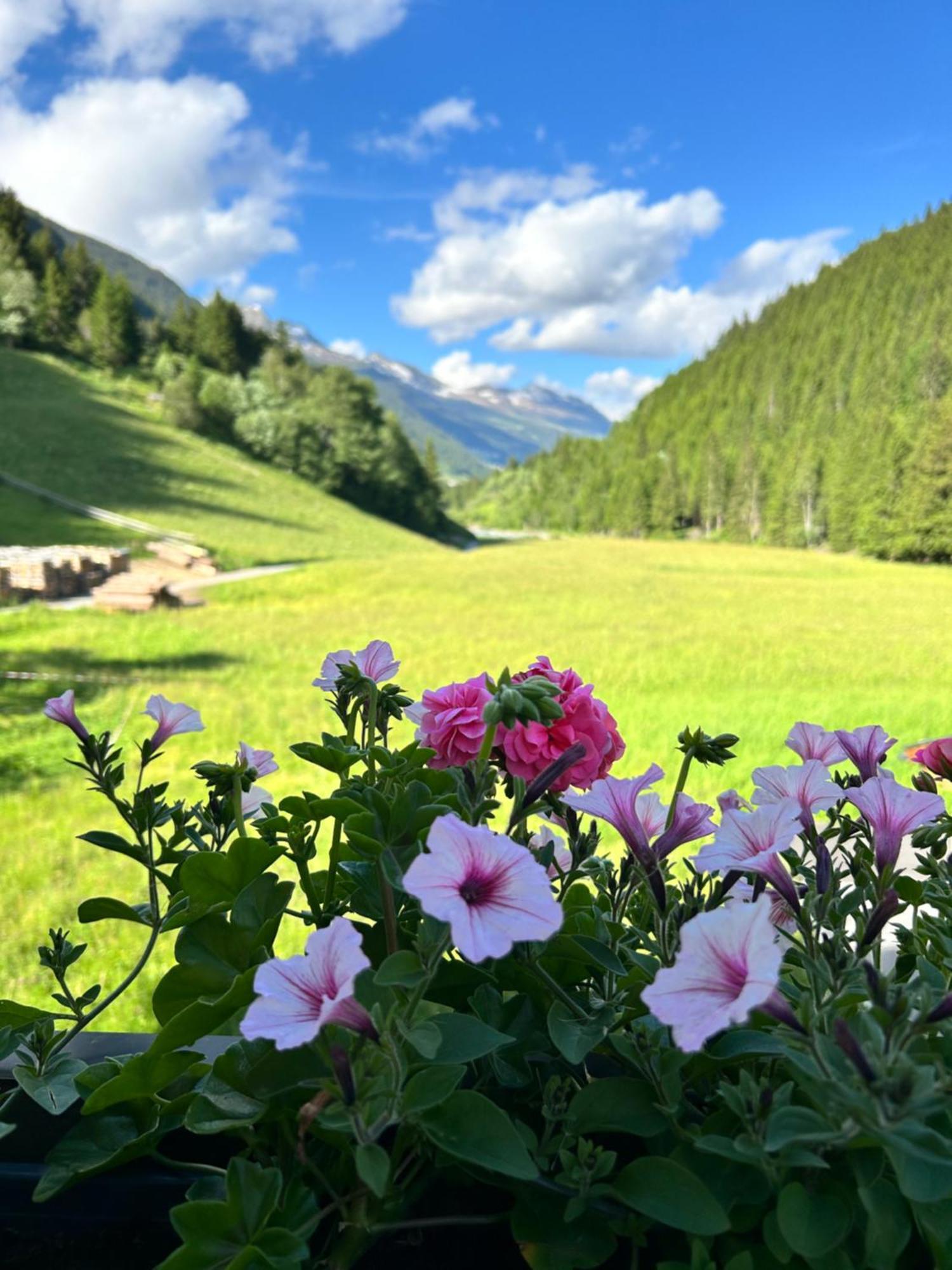 Apartment Augl's Hof Ischgl